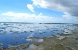 Wattenmeer auf Fanø