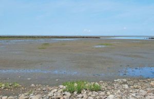 Wattenmeer auf der Insel Mando