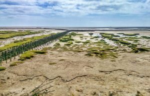 Blick in das Wattenmeer vor Grothusenkoog