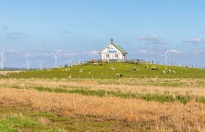 NABU-Domizil auf der Hamburger Hallig