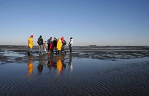 Wattexkursion der Schutzstation Wattenmeer auf Langeness