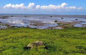 Landschaft im Nationalpark Schleswig - Holsteinisches Wattenmeer