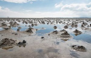 „Haufen“ des Wattwurms im Wattenmeer auf Sylt